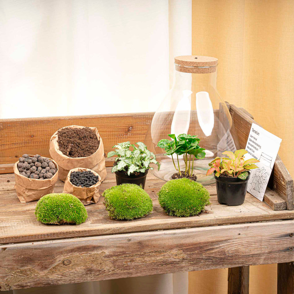 Terrarium Sam - Ø 24,5 Cm ↑ 30 Cm - Relatiegeschenk