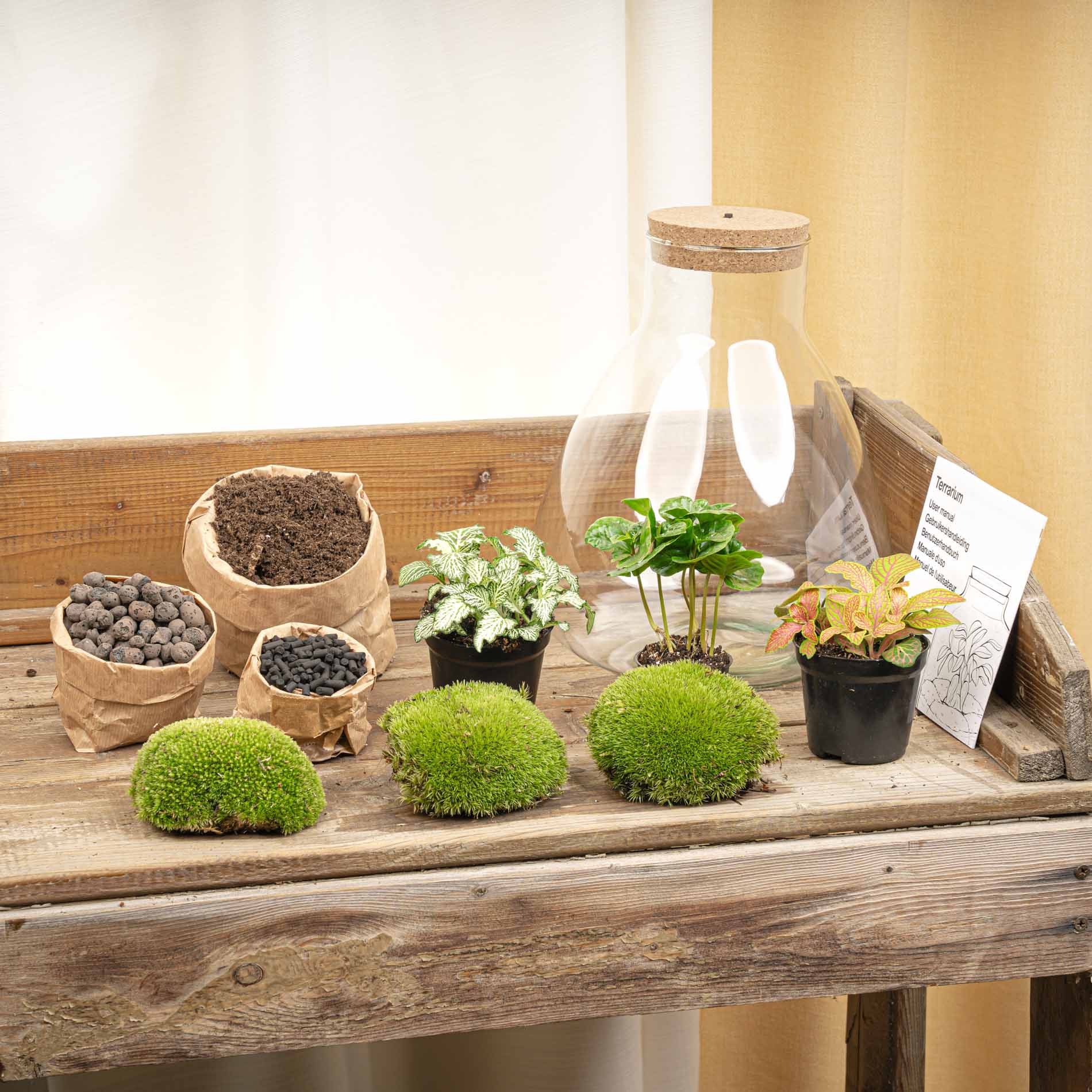 Terrarium Sam - Ø 24,5 Cm ↑ 30 Cm - Relatiegeschenk